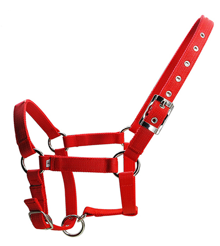 Horse Halter