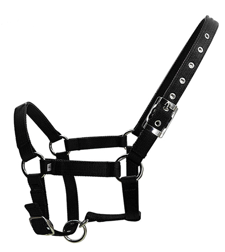 Horse Halter