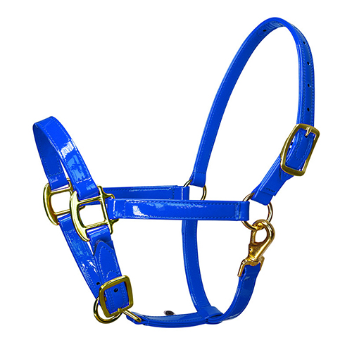 Horse Halter