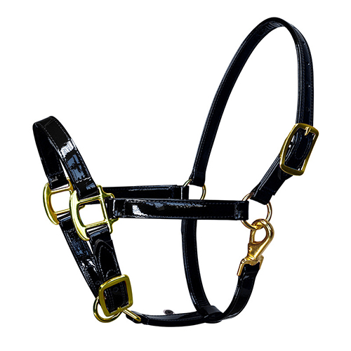 Horse Halter