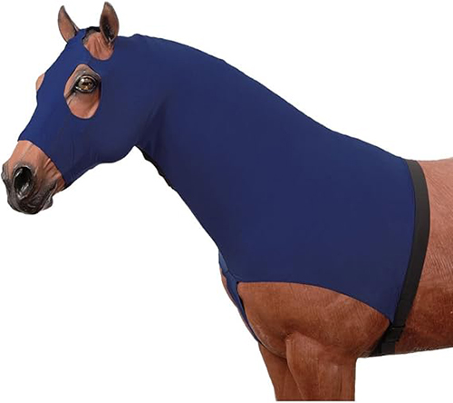 Horse Bodysuit
