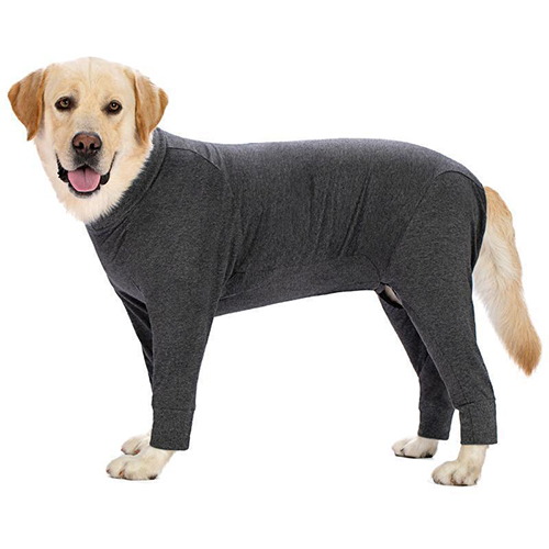 Pet Bodysuits